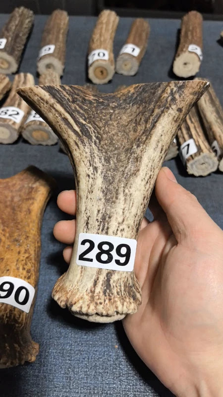 Antler Bow Material #289 – 160×130×29mm Natural Stag