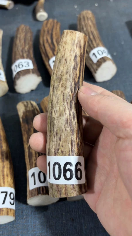 Antler Knife Handle Scale Blank #1066 – 132mm Natural Stag