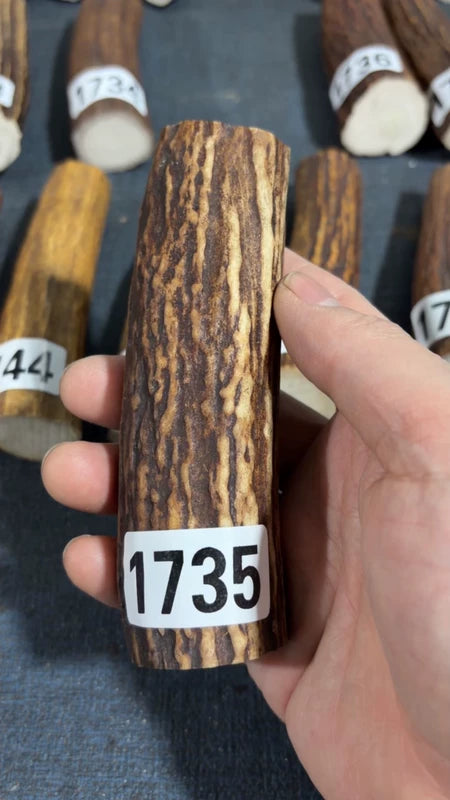 Antler Knife Handle Scale Blank #1735 – 122mm Natural Stag