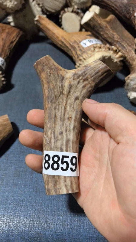Antler Bow Material #8859 – 117×73×23mm Natural Stag