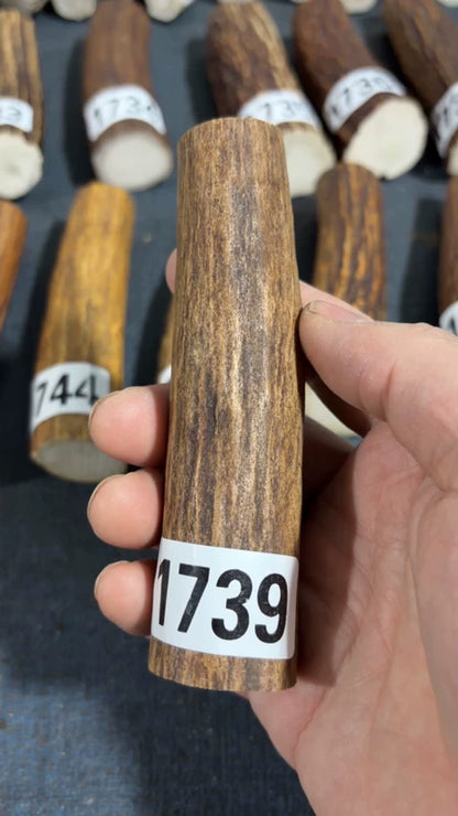 Antler Knife Handle Scale Blank #1739 – 117mm Natural Stag
