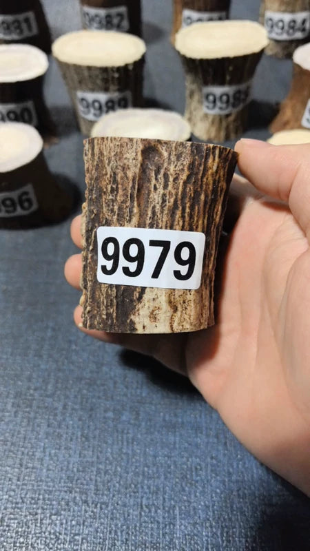 Antler Root Segment #9979 – 65-70mm Natural Stag