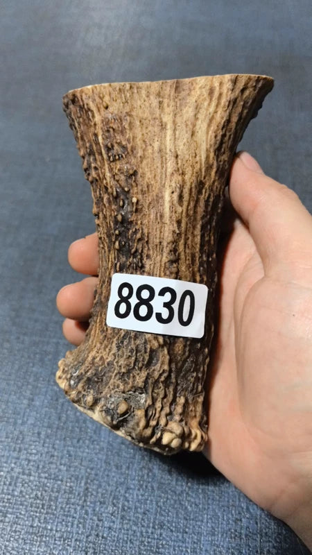 Antler Bow Material #8830 – 130×88×42mm Natural Stag