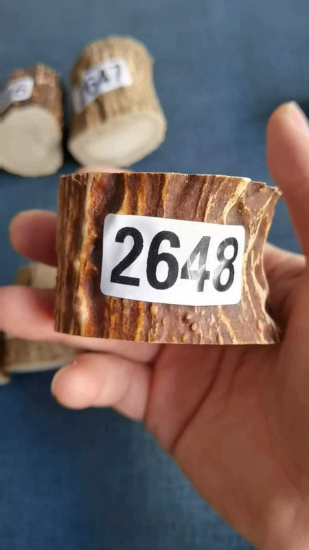 Antler Root Segment #2648 – 40-48mm Natural Stag