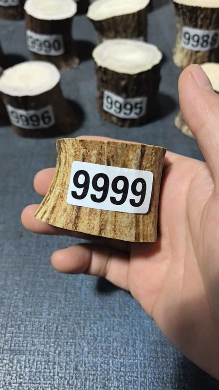 Antler Root Segment #9999 – 39-46mm Natural Stag