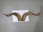Natural Sheep & Goat Horn Raw Material – Scraping Board, Comb, Beads & Craft Blanks