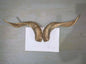 Natural Sheep & Goat Horn Raw Material – Scraping Board, Comb, Beads & Craft Blanks