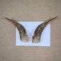 Natural Sheep & Goat Horn Raw Material – Scraping Board, Comb, Beads & Craft Blanks