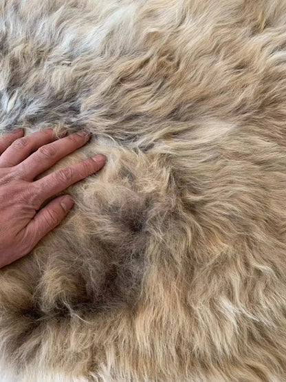 100% naturl sheepskin fur，Rare gradient colors Furry bedside blanket, leisure sofa cushion whole wool