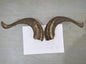 Natural Sheep & Goat Horn Raw Material – Scraping Board, Comb, Beads & Craft Blanks