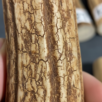 Texture Close-up Photo