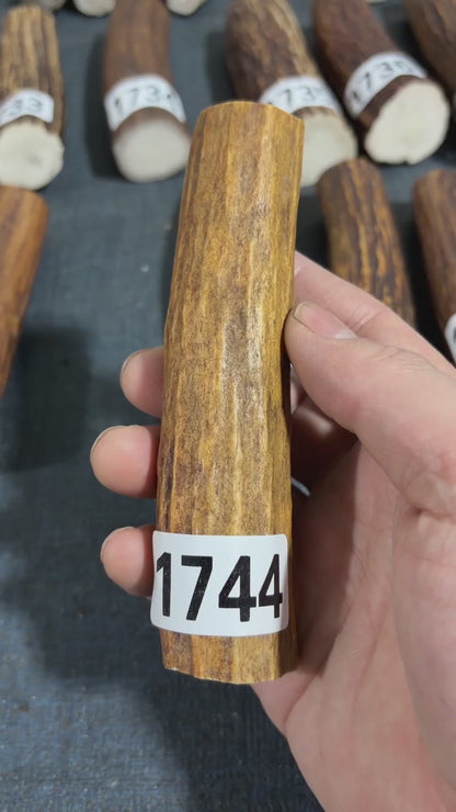 Antler Knife Handle Scale Blank #1744 – 124mm Natural Stag