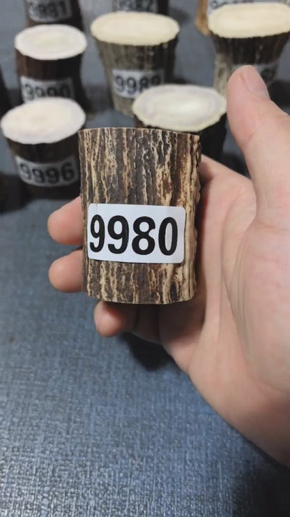 Antler Root Segment #9980 – 58-61mm Natural Stag