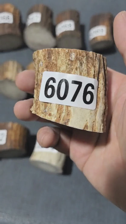 Antler Root Segment #6076 – 42-52mm Natural Stag
