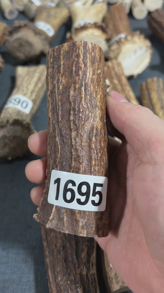 Antler Knife Handle Scale Blank #1692 – 112mm Natural Stag