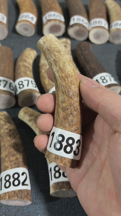 Antler Knife Handle Scale Blank #1883 – 105mm Natural Stag