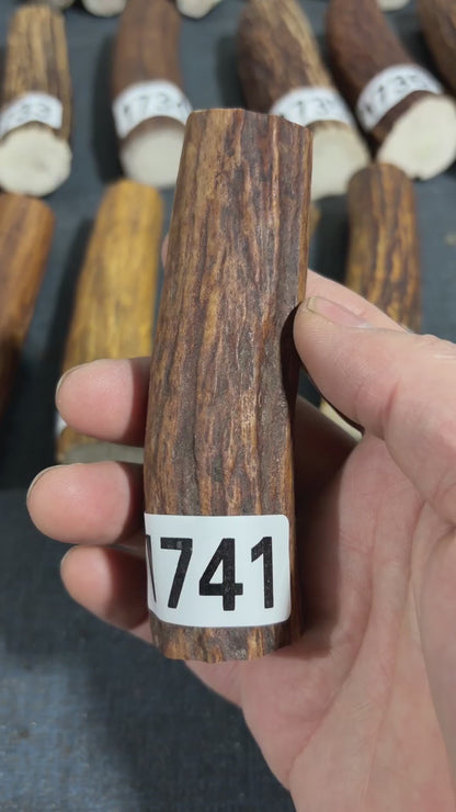 Antler Knife Handle Scale Blank #1741 – 105mm Natural Stag