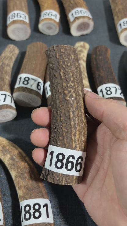 Antler Knife Handle Scale Blank #1866 – 116mm Natural Stag