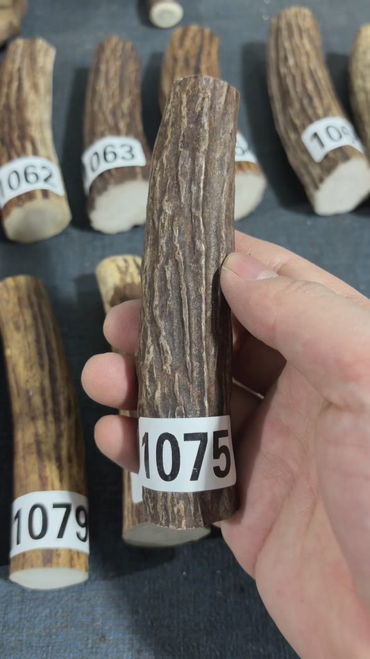 Antler Knife Handle Scale Blank #1075 – 130mm Natural Stag