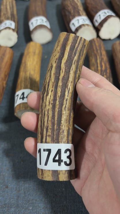 Antler Knife Handle Scale Blank #1743 – 120mm Natural Stag