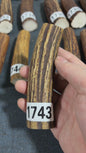 Antler Knife Handle Scale Blank #1743 – 120mm Natural Stag