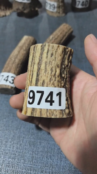 Antler Root Segment #9741 – 66mm Natural Stag