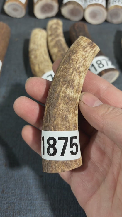Antler Knife Handle Scale Blank #1875 – 95mm Natural Stag