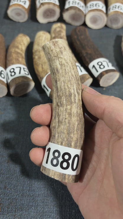 Antler Knife Handle Scale Blank #1880 – 112mm Natural Stag
