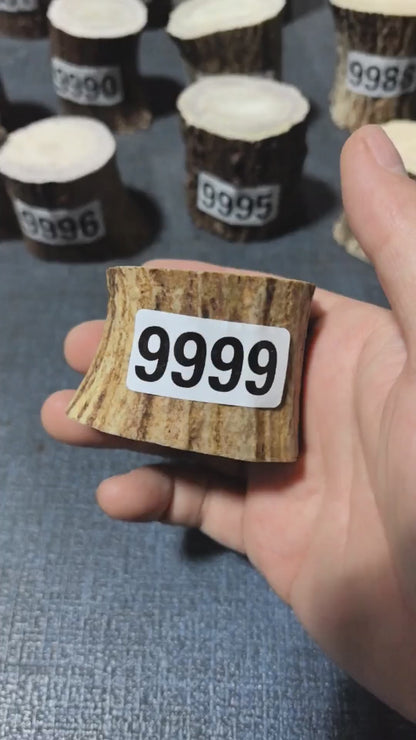 Antler Root Segment #9999 – 39-46mm Natural Stag