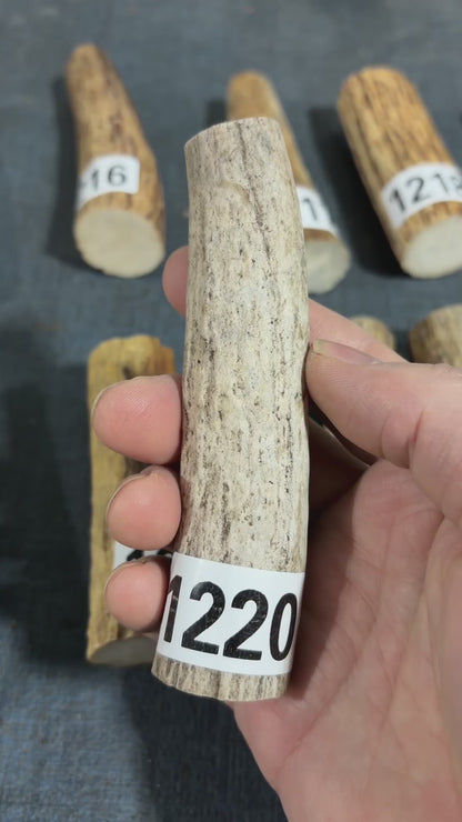 Antler Knife Handle Scale Blank #1220 – 115mm Natural Stag