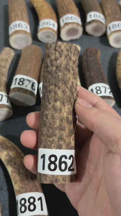 Antler Knife Handle Scale Blank #1862 – 120mm Natural Stag