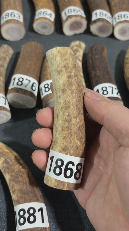 Antler Knife Handle Scale Blank #1868 – 117mm Natural Stag