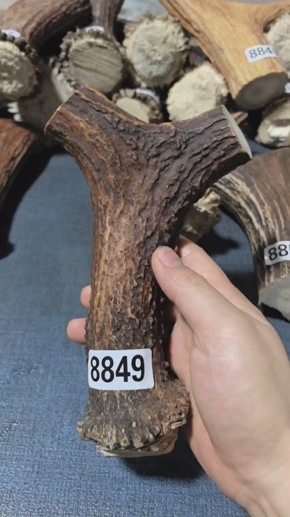 Antler Bow Material #8849 – 180×120×32mm Natural Stag