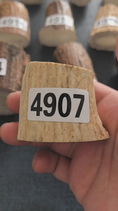 Antler Root Segment #4907 – 39-46mm Natural Stag