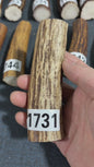 Antler Knife Handle Scale Blank #1731 – 122mm Natural Stag